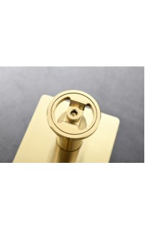 купить Душевая система Bronze de Luxe 1760S 6630CG Золото матовое в EV-SAN.RU