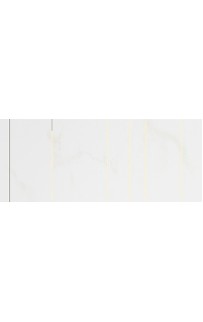 купить Керамический декор CRETO Forza Cavalcade White 02 D0430Y29602 25x60 см в EV-SAN.RU