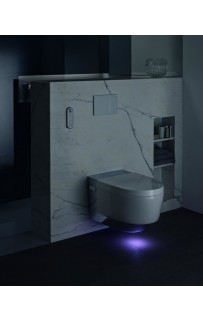 купить Унитаз биде Geberit AquaClean Mera Comfort 146.214.21.1 Белый альпин/Хром в EV-SAN.RU