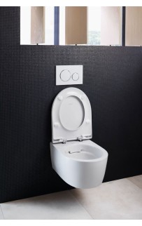 купить Комплект унитаза Geberit iCon 500.362.TC.I с инсталляцией Duofix с сиденьем Микролифт в EV-SAN.RU