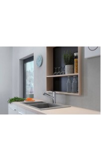 купить Смеситель для кухни Hansgrohe Focus M42 71814000 Хром в EV-SAN.RU