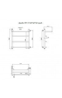 купить Водяной полотенцесушитель Тругор Браво 1 П ПМ R 60x50 с полкой Хром в EV-SAN.RU